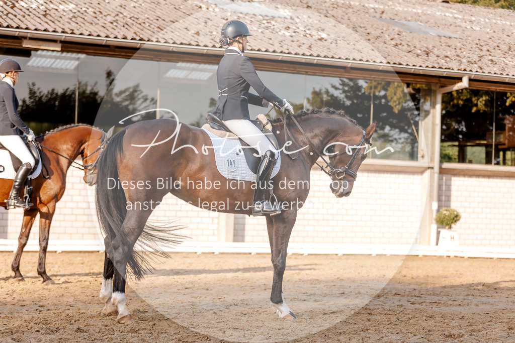 3I6A2370 | Stimmungsvolle Portraits und Reitsportfotografie im Ruhrgebiet und im Münsterland.

Pferdefotografie, Hundefotografie, Tierfotografie, Reportagen, Portraits von Tier und Mensch, Turnierfotografie in Bochum, Recklinghausen, Marl, Haltern am See, Dülmen.. - Realisiert mit Pictrs.com