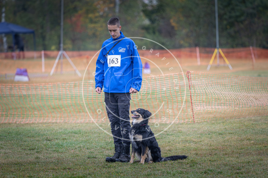 Pfotenfotografie_DV3A8857 | Hundefotografie, Tierfotograf, Pfotenfotografie, Fotoshooting Hund, Hunde Portrait, Hundesport, Hundeportraits, Heideshooting, Hunde, Sportfotograf, Hundefotograf, Turnierhundsport, THS,  - Realisiert mit Pictrs.com