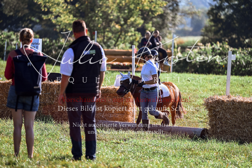 DSC_0474 | Pferde- und Turnierfotografie in Westsachsen. Pferdeportraits, Auftragszeichnungen und intuitive Kunst.