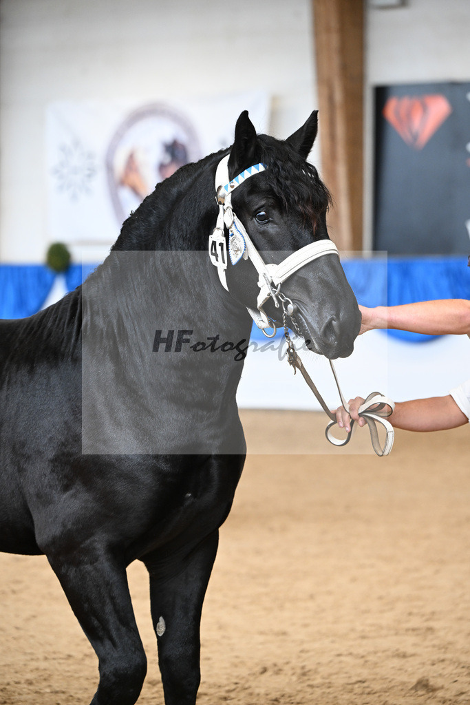Kat-Nr. 41 Ronaldo von Wullenstetten v. Rembrandt_Harder_39250671 | hf-fotografie - Realizzato con Pictrs.com