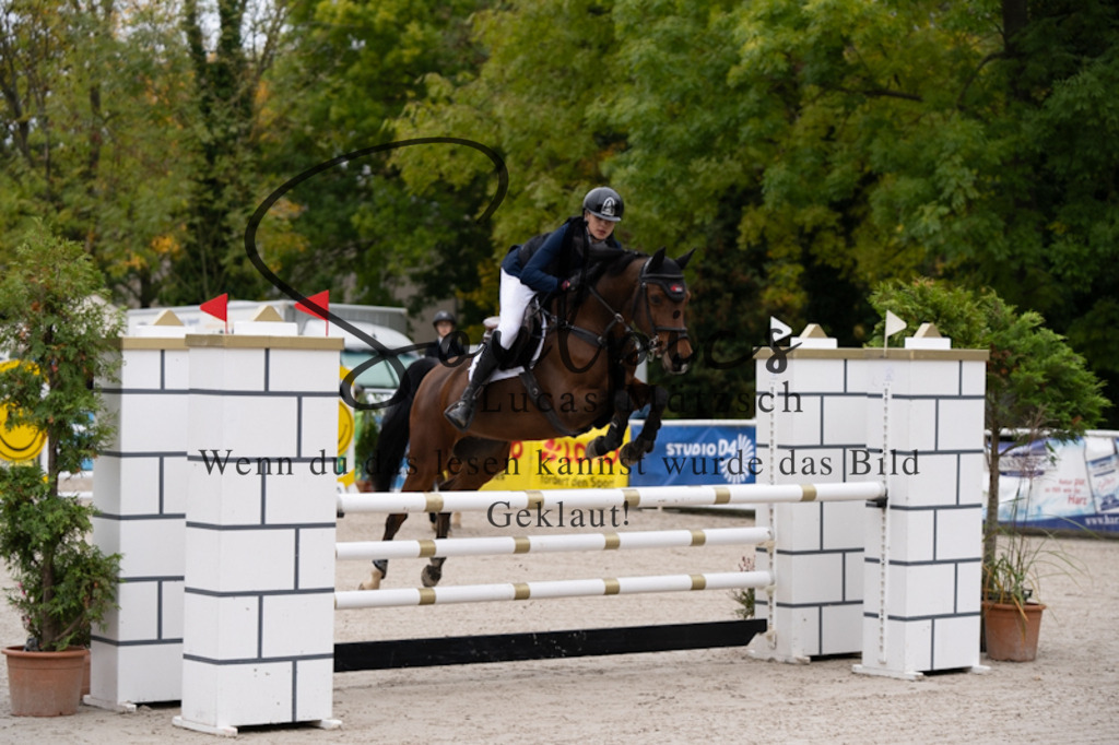 A7V09870 | Pferdefotograf