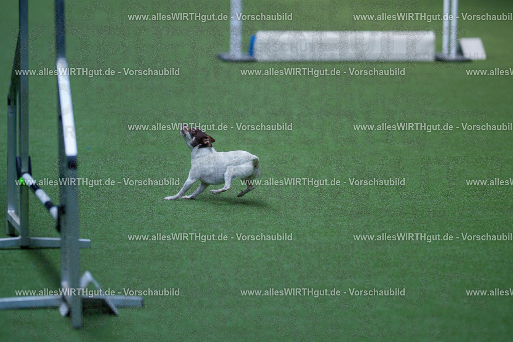 @allesWIRTHgut_Tierfotografie - www.allesWIRTHgut.de - 2604261327-7R501878 | Professionelle Tierfotografie in Mönchengladbach von Daniel Wirth (allesWIRTHgut). Liebevolle & natürliche Bilder von Hunden & Katzen für unvergessliche Erinnerungen.