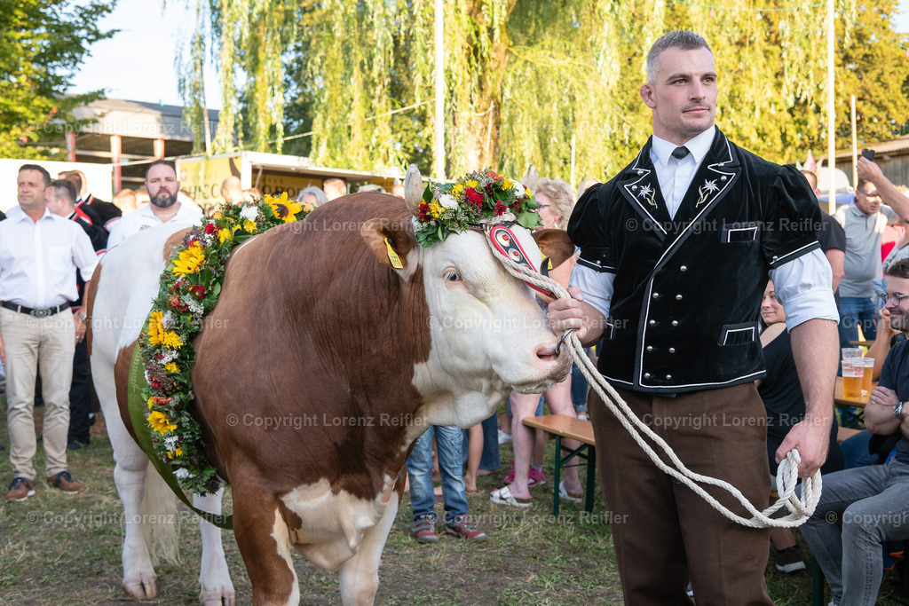 Schwingen -  Unspunnen Empfang 2023 | Wigoltingen, 2.9.23, Schwingen - Unspunnen Empfang.