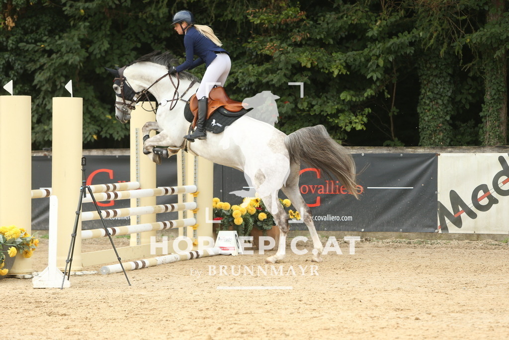 DL2Q6365 | Willkommen bei Brunnmayr - Design & Fotografie – Ihrem Spezialisten für Reitturniere und Pferdeveranstaltungen in Oberösterreich, Salzburg und Bayern! Seit über 17 Jahren sind wir leidenschaftlich dabei.