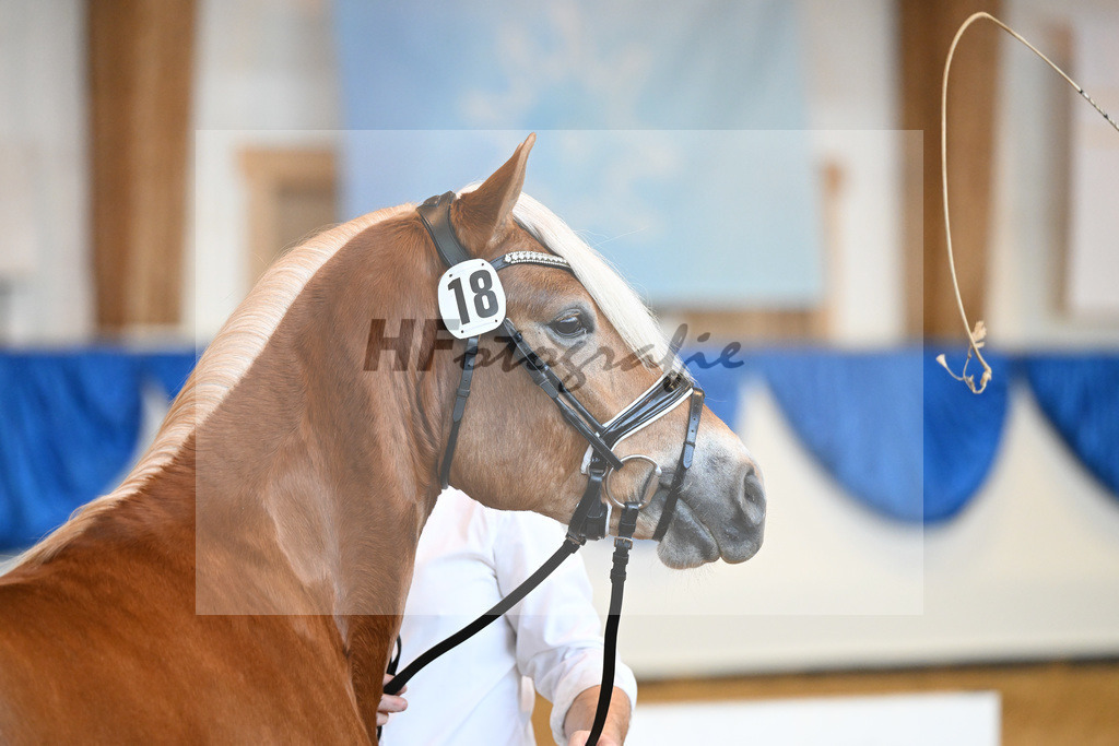 Kat-Nr. 18 Alois v. Amari_Reisberger_60220743 | hf-fotografie - Realisiert mit Pictrs.com