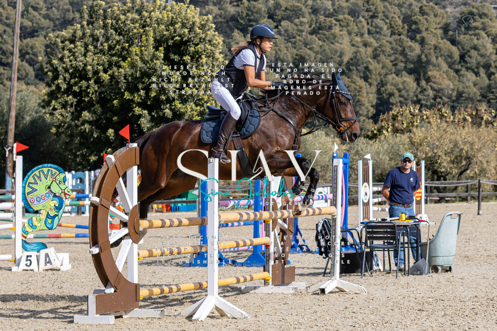 IMG_0582 | s-jay-photography - Realisiert mit Pictrs.com