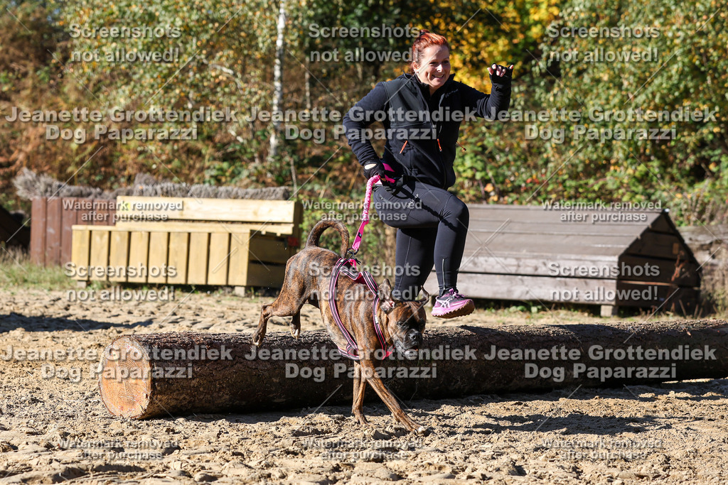 Dog Paparazzi - Strongdog 10-25-2761 | Dog Paparazzi Jeanette Grottendiek Fotografie & Videografie - Realisiert mit Pictrs.com