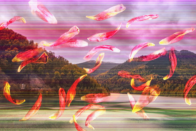 Magic Petals | Step into a multi-dimensional portal where nature meets dynamic digital abstraction. The composition reinvents the traditional lakeside landscape by adding mysterious horizontal lines and floating flower petals to the scene. This surreal artwork is ideal for active creative workspaces and highly energetic environments. This is a preview image. The original has a resolution of 10630 x 7087 px. - Realisiert mit Pictrs.com