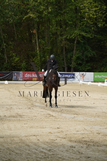 VAN03083 | Marie Giesen Fotografie - Realisiert mit Pictrs.com