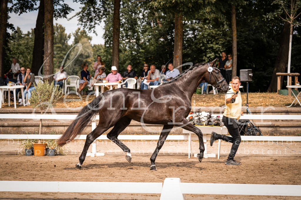 5.Fr00002 | Leoni Ertmer Photography - Realisiert mit Pictrs.com