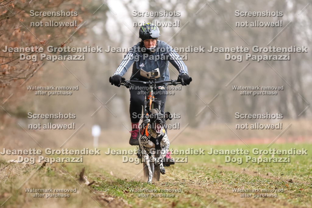 Dog Paparazzi - Plate 2026-44 | Dog Paparazzi Jeanette Grottendiek Fotografie & Videografie - Realisiert mit Pictrs.com