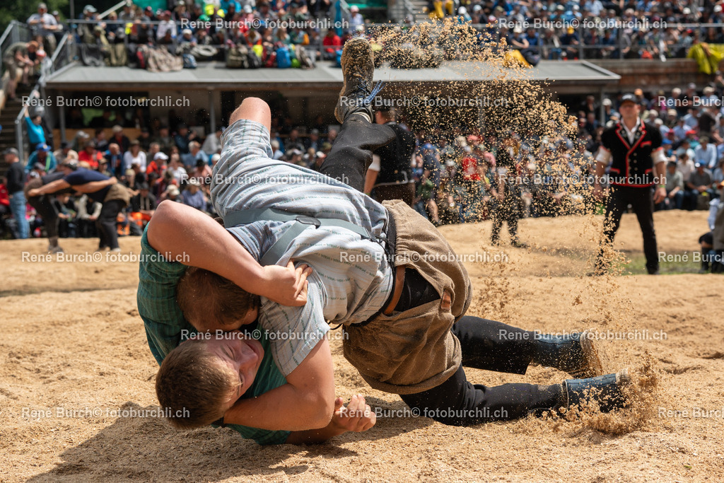 RB_00558 | René Burch leidenschaftlicher Fotograf aus Kerns in Obwalden.  Hier finden sie Sport, Landschaft und Natur Fotografie.
 - Realisiert mit Pictrs.com
