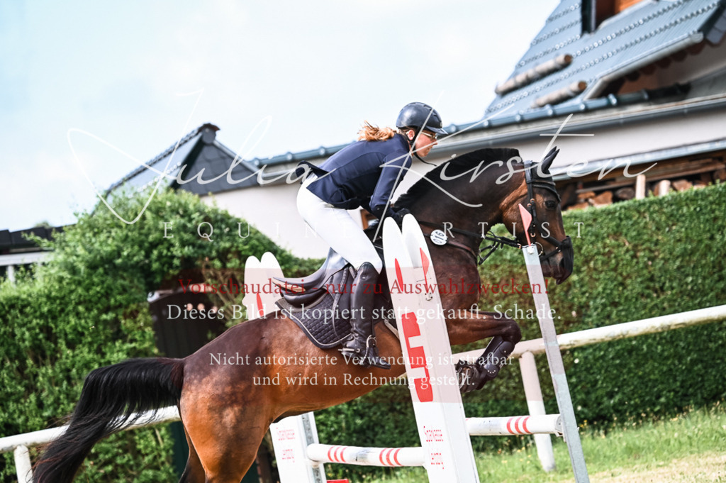 DSC_8267 | Pferde- und Turnierfotografie in Westsachsen. Pferdeportraits, Auftragszeichnungen und intuitive Kunst.