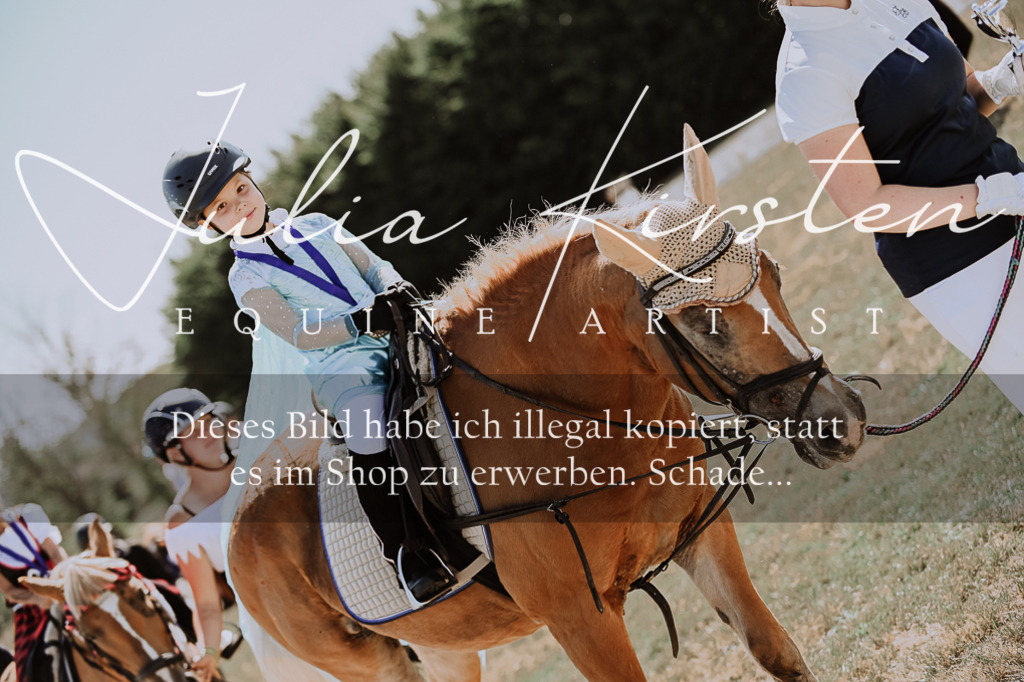 DSC_9073 | Pferde- und Turnierfotografie in Westsachsen. Pferdeportraits, Auftragszeichnungen und intuitive Kunst.