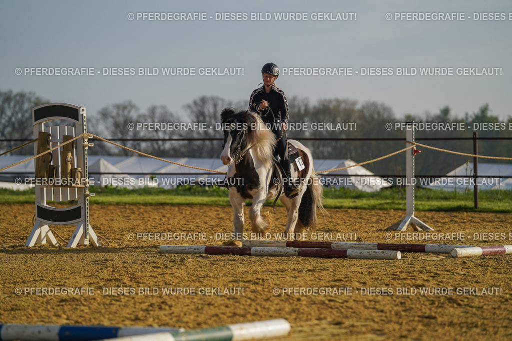 DSC00223 | Pferdegrafie