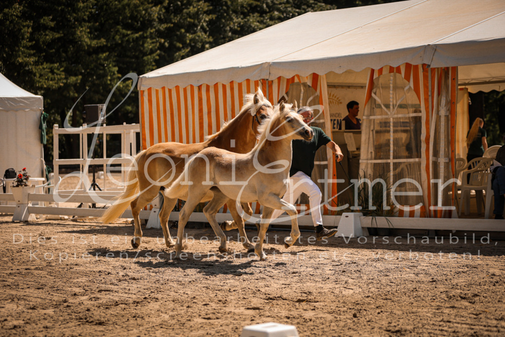 06.DoH00053 | Leoni Ertmer Photography - Realisiert mit Pictrs.com