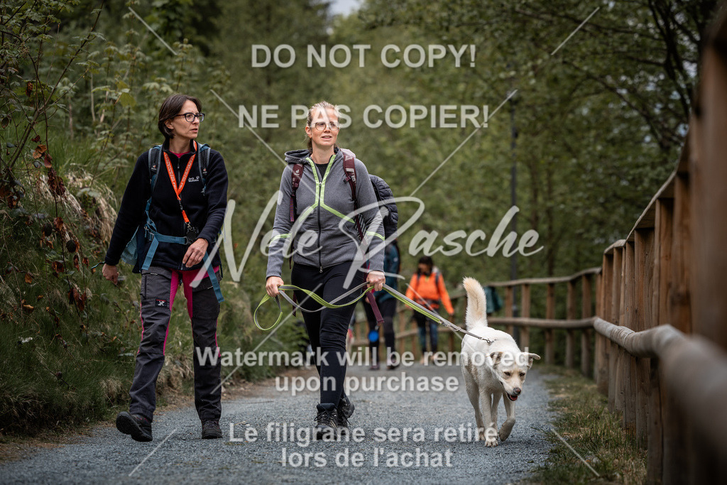 nelerasche_SaAbends_109 | nelerasche - Realisiert mit Pictrs.com