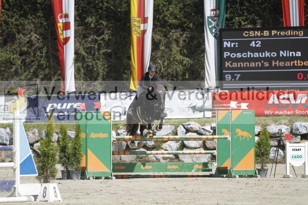 _MG_5519 | equestrian-live-com