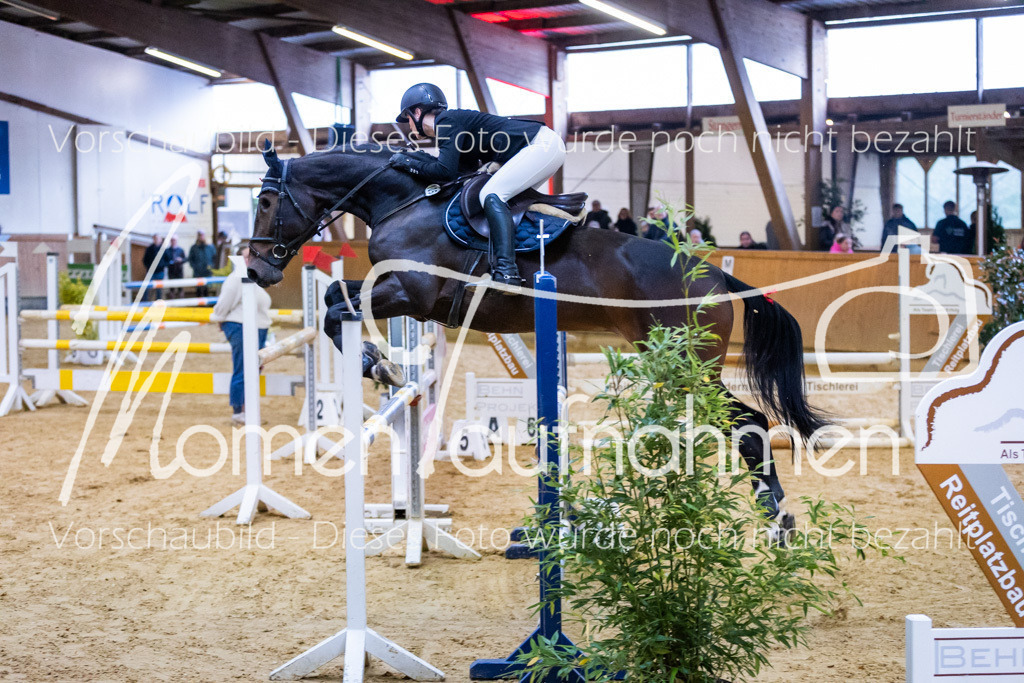 Sth-L-Springen-005 | MomenTaufnahmen Pferdesportfotos