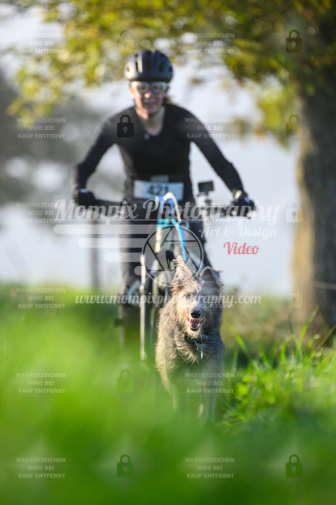 MompixPhotography_20TSB_E3_Bike-182 | PayLife