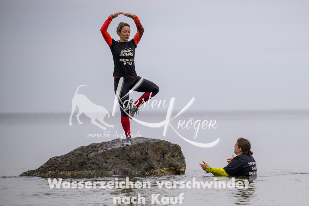 1317_ZZ94184 | kk-dogfotos
