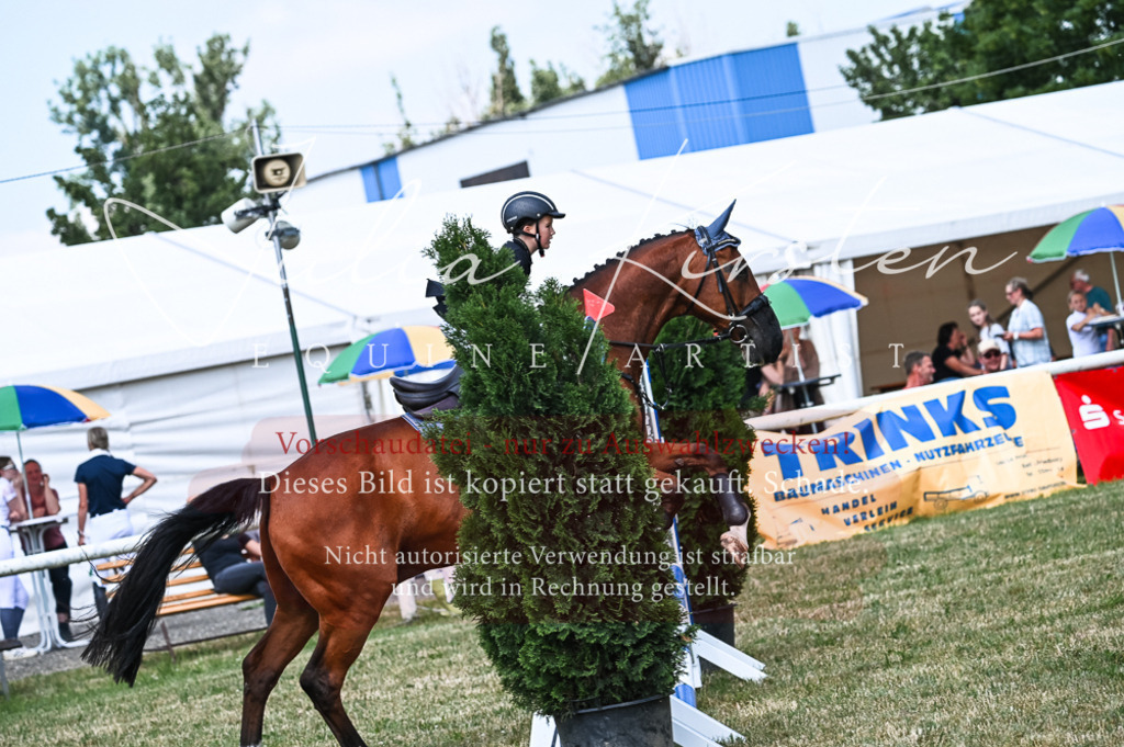 DSC_9690 | Pferde- und Turnierfotografie in Westsachsen. Pferdeportraits, Auftragszeichnungen und intuitive Kunst.