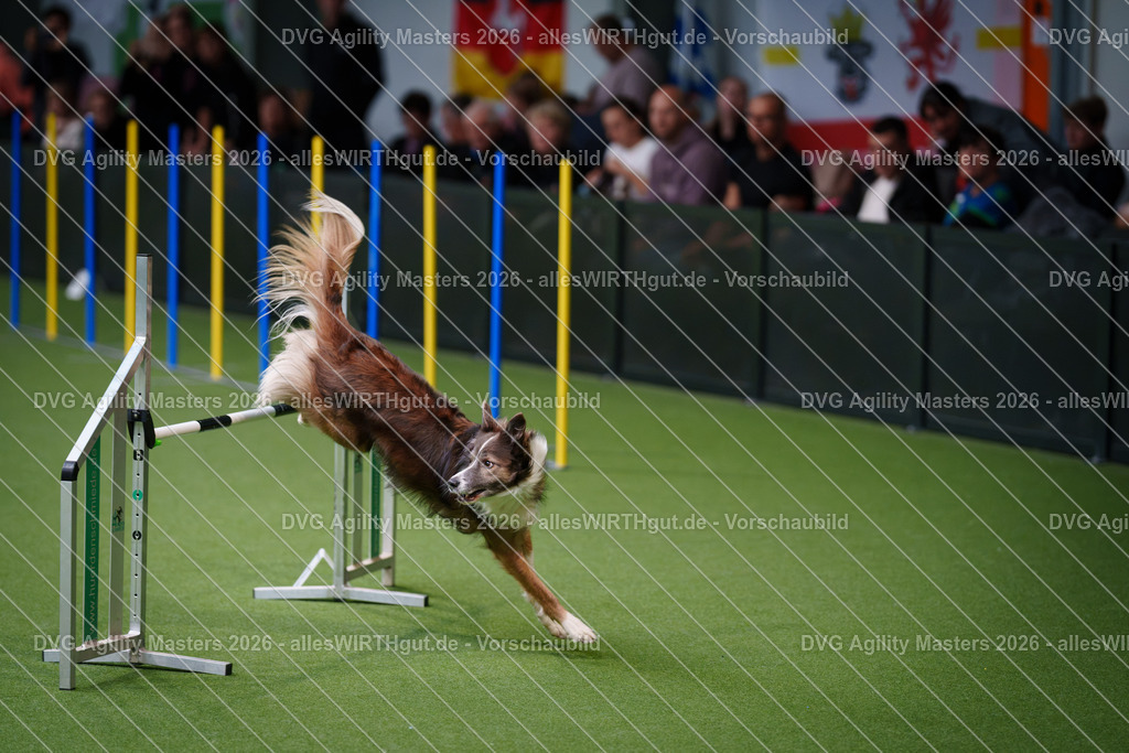 allesWIRTHgut_Tierfotografie-DVG_Agility_Masters_2026-09_40-7R502364 | Professionelle Tierfotografie in Mönchengladbach von Daniel Wirth (allesWIRTHgut). Liebevolle & natürliche Bilder von Hunden & Katzen für unvergessliche Erinnerungen.