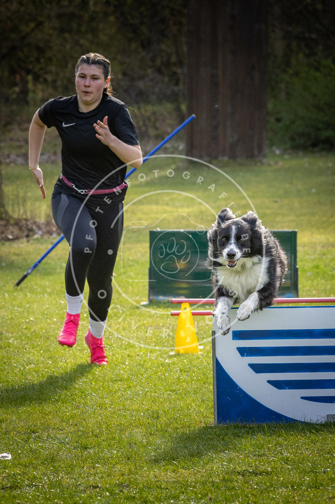 Pfotenfotografie_DV3A3676 | Hundefotografie, Tierfotograf, Pfotenfotografie, Fotoshooting Hund, Hunde Portrait, Hundesport, Hundeportraits, Heideshooting, Hunde, Sportfotograf, Hundefotograf, Turnierhundsport, THS,  - Realisiert mit Pictrs.com