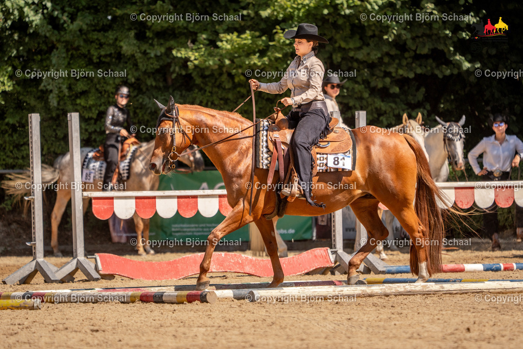 LMS05176 | BS-foto