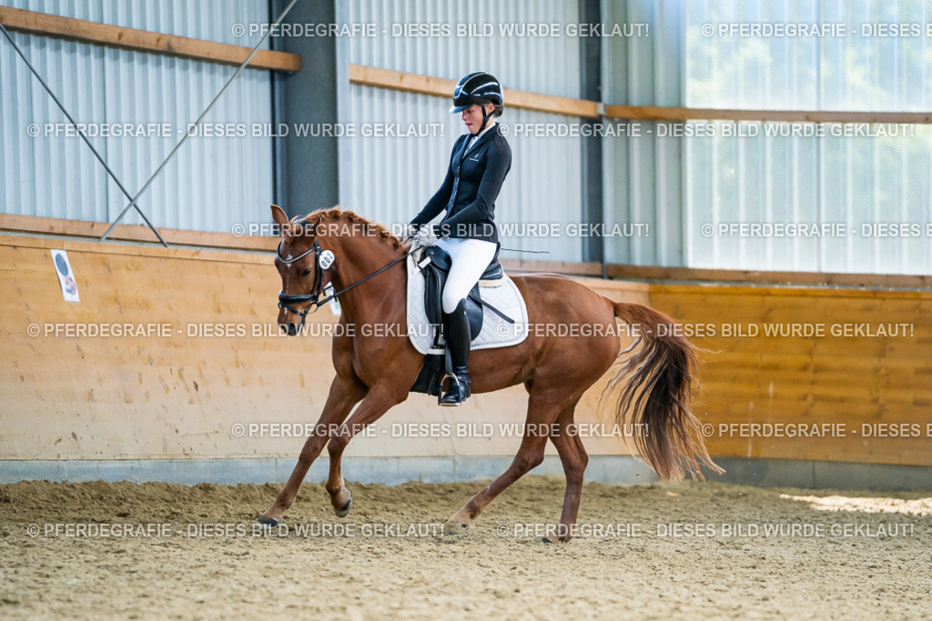 DSC05225 | Pferdegrafie