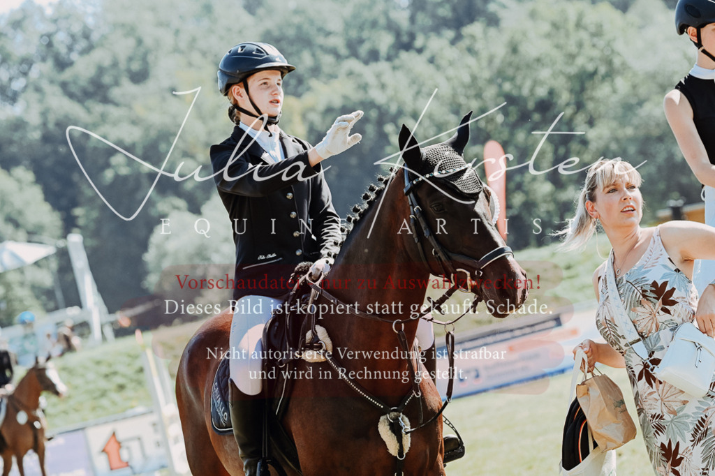 DSC_6195 | Pferde- und Turnierfotografie in Westsachsen. Pferdeportraits, Auftragszeichnungen und intuitive Kunst.