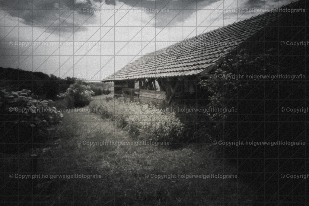 20260616104648Z63_4597 | Kaufen sie online außergewöhnliche Fotografien auf Leinwand Acrylglas Fotoprint Aludibond von holgerweigeltfotografie - Realisiert mit Pictrs.com