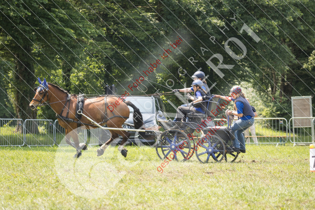 IMG_8683 | Sport-, Event- und Tierfotos in Profiqualität. Einfach auswählen, bestellen und herunterladen. Dein Moment – perfekt festgehalten.