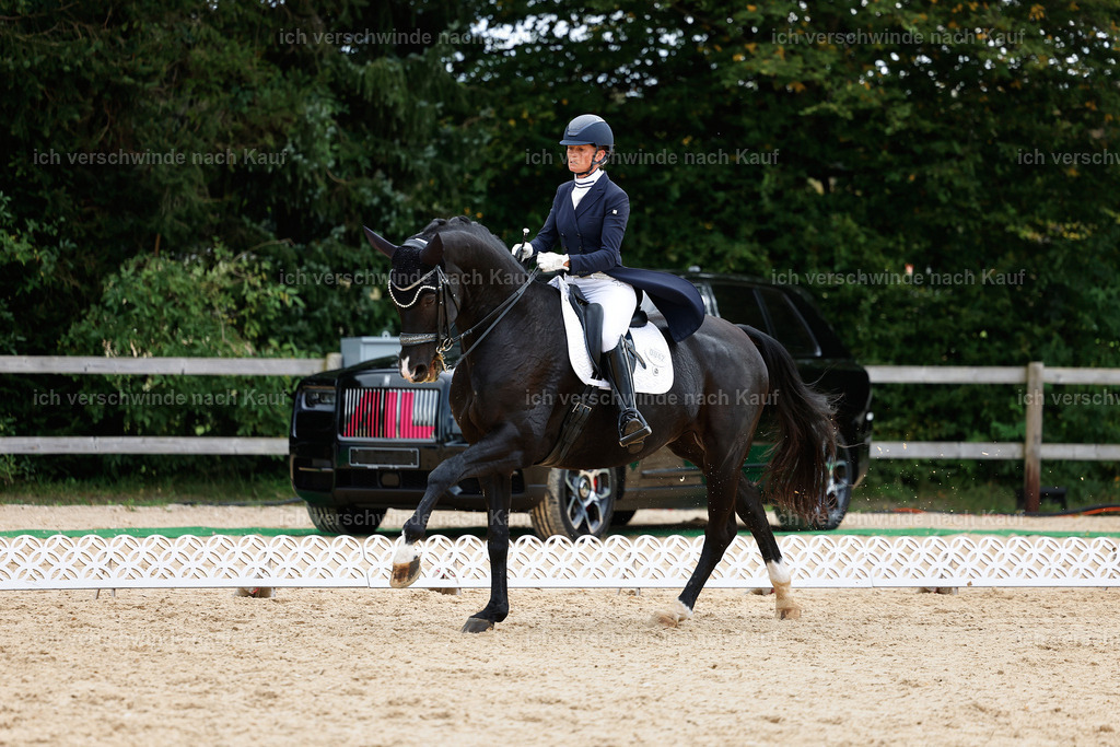 11-042-Dressur S___-StoibPH-1198 | working equitationturnier fotograf videograf stoibphotography marixx film working equitation deutschland reitsport turnierfotografie eventfotografie equestrian events