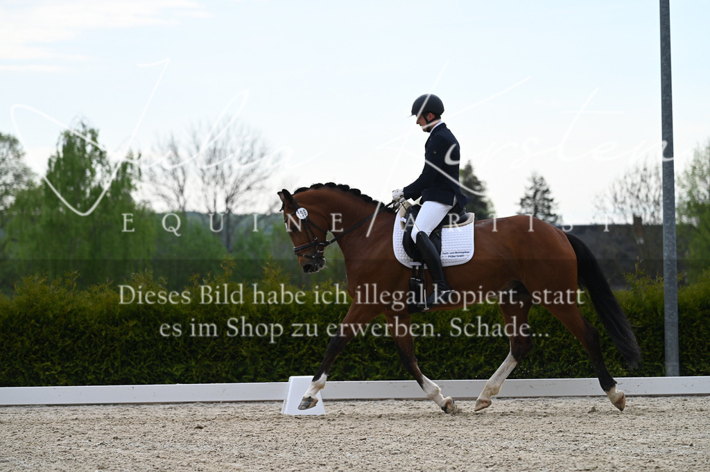 20230512_JK-Röhrsdorf-02-253 | Pferde- und Turnierfotografie in Westsachsen. Pferdeportraits, Auftragszeichnungen und intuitive Kunst.