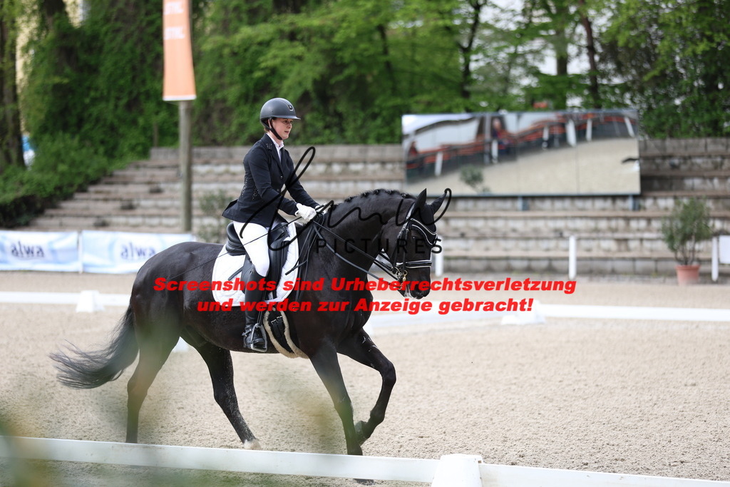 A40A0480 | lmwpictures - Realisiert mit Pictrs.com