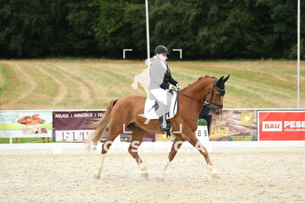 AS8V2838 | Willkommen bei Brunnmayr - Design & Fotografie – Ihrem Spezialisten für Reitturniere und Pferdeveranstaltungen in Oberösterreich, Salzburg und Bayern! Seit über 17 Jahren sind wir leidenschaftlich dabei.