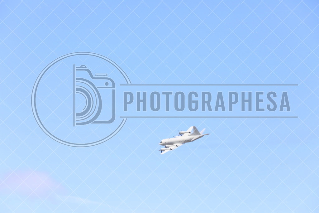 IMG_8810 | photographesa-joergens - Realisiert mit Pictrs.com