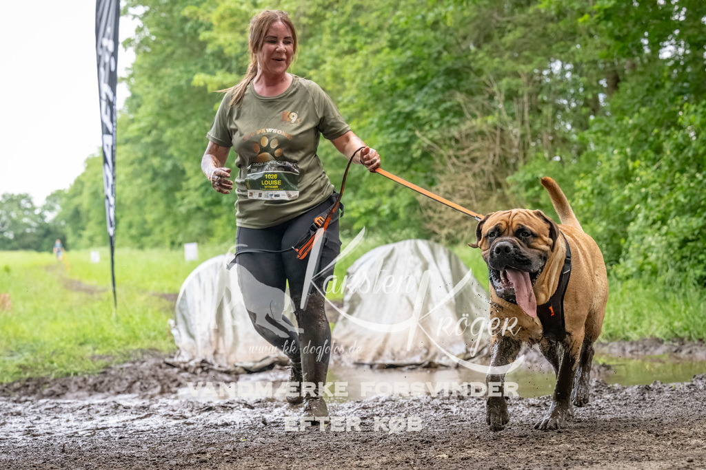 1538_ZZ94703-Bearbeitet | kk-dogfotos