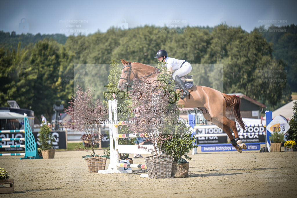 DOS_0848 | Entdecke hochwertige Reitturnierfotos von Foto Oger. Professionell, emotional und authentisch – jetzt Lieblingsmomente im Shop bestellen. - Realisiert mit Pictrs.com