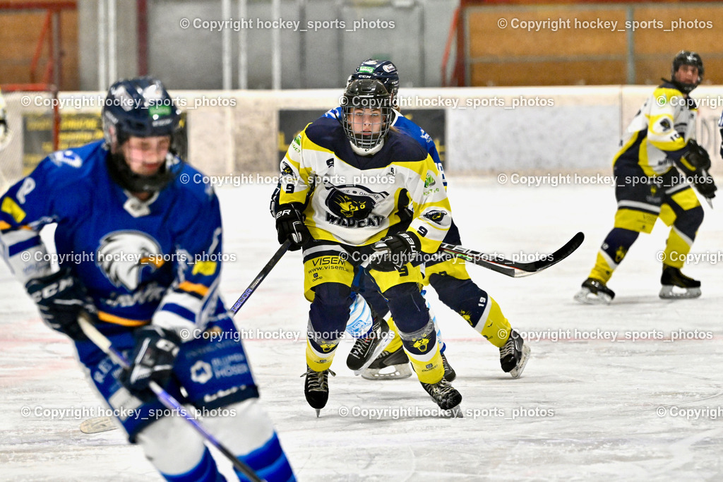 Wildcats Paternion vs. Lady Hawks  | #9 Neumann Magdalena WILDCATS PATERNION, Wildcats Paternion vs. Lady Hawks , Wildcats Paternion vs. Lady Hawks  am 27.01.2025 in Spittal an der Drau (Eissportzentrum Spittal), Austria, (Photo by Bernd Stefan)