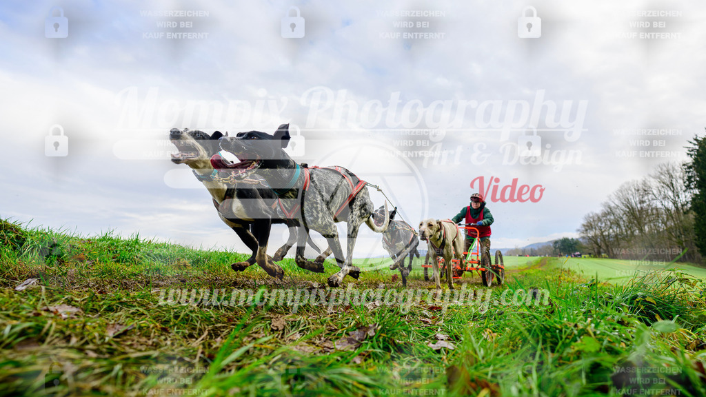 MompixPhotography_Staufertrail2024_SO_Kart-16 | PayLife