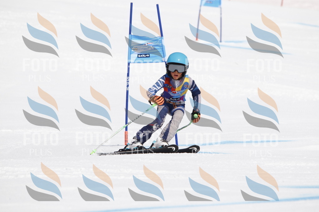 _U3G4389 | holidayphoto