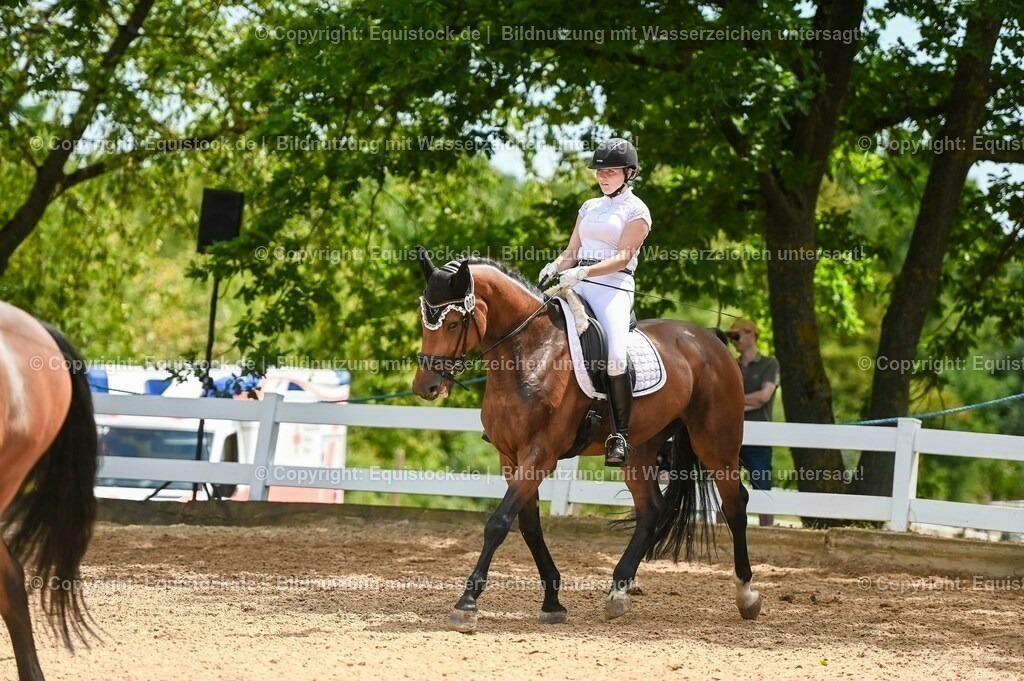 20230715_05_Dressurprüfung Kl.A++_0405 | equistock