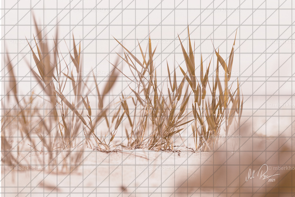 marko_Berkholz_shopmberkholz_MBE4344_s | Bildkunst Warnemünde, Fotokunst Warnemünde, Fotostudio Rostock Warnemünde, Technologiecampus, Onlinedruckerei, Fotokunst Warnemünde, Ostseebad Warnemünde 