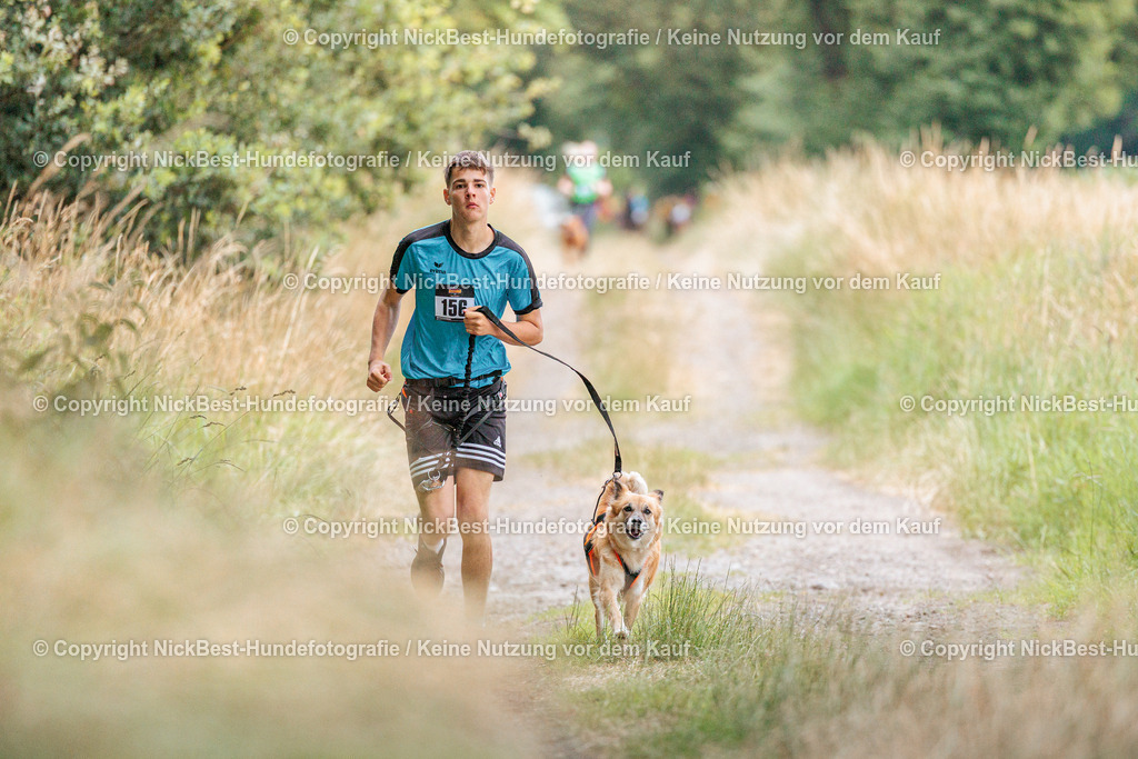 THS-Quakenbrück-2026-Nickbest-Hundefotografie-0551 | Dein Hund! Dein Moment! Deine Erinnerungen! Hundefotografie in Bremen Blumenthal. Ich fange die besonderen Momente deines Vierbeiners ein – ob Indoor mit Blitzanlage oder in der freien Natur. Sicher dir dein Moment und dein Termin für eure Erinnerungen.