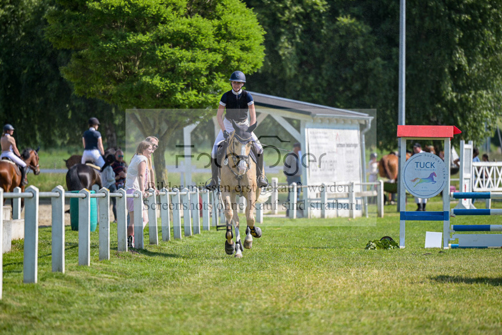 Reitturnier Voxtrup | Entdecke hochwertige Reitturnierfotos von Foto Oger. Professionell, emotional und authentisch – jetzt Lieblingsmomente im Shop bestellen.Deutschlandweite Turnierfotografie. - Realisiert mit Pictrs.com