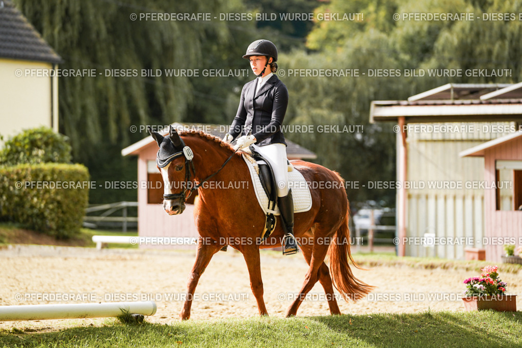 DSC00698 | Pferdegrafie