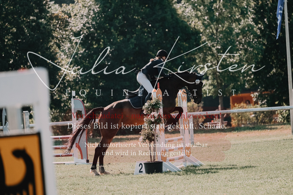 DSC_4803 | Pferde- und Turnierfotografie in Westsachsen. Pferdeportraits, Auftragszeichnungen und intuitive Kunst.