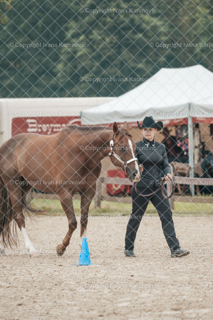 DSC08412 | ikphotography - Realisiert mit Pictrs.com